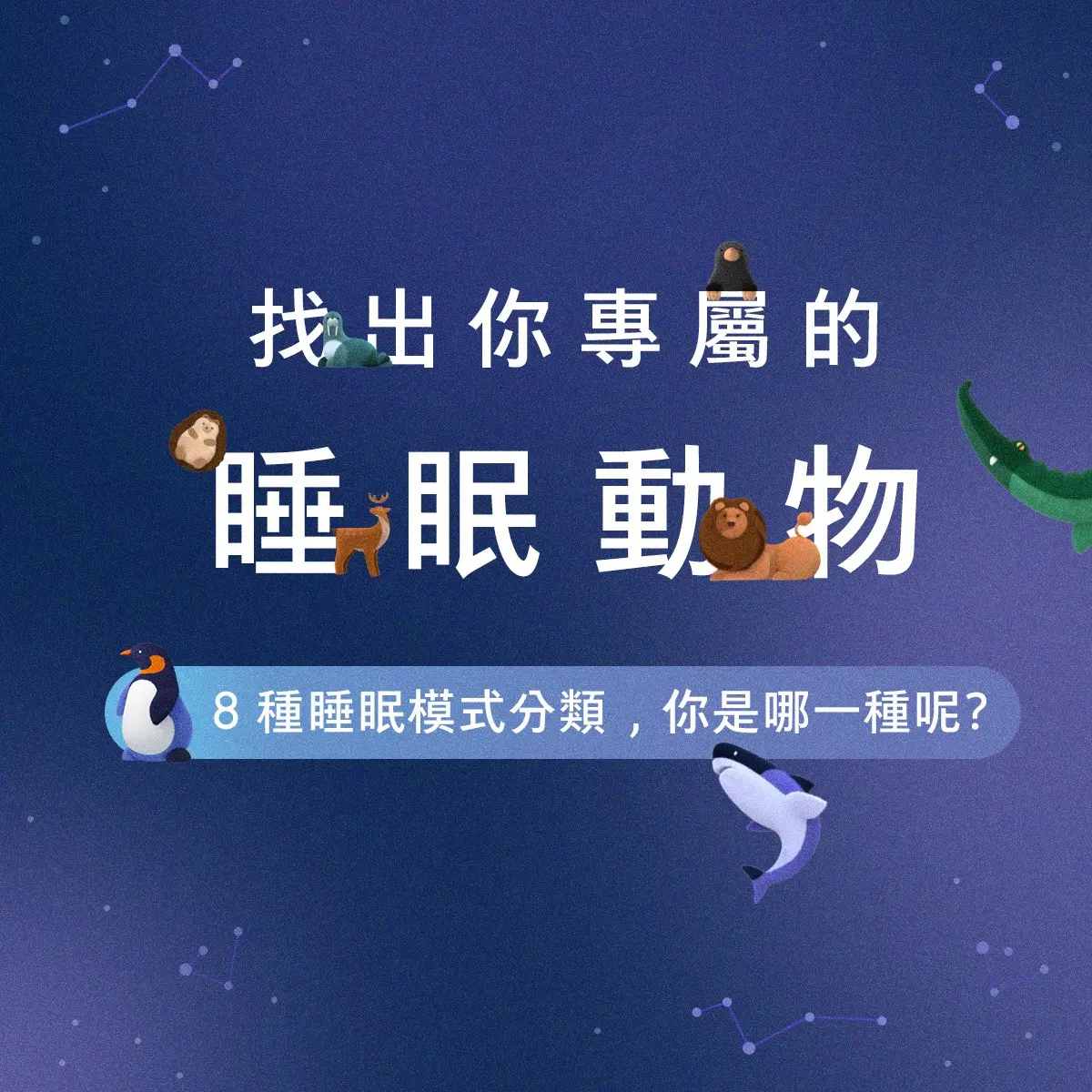 大01 Main 小 大01 Main 小